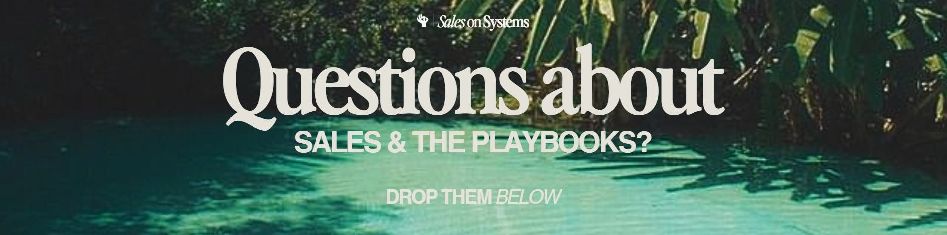Questions about sales & the playbooks?